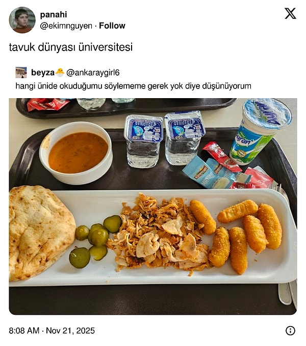 Kasım Ayı Sivrisineklerinden Bıkanlara Son 24 Saatte Viral Işık Hızıyla Değişim: Zorbalığı Durdur, Eğlenceyi Keşfet!