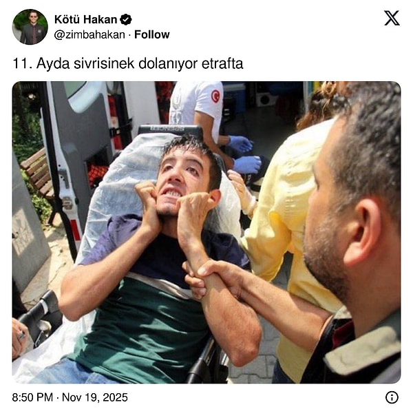 Kasım Ayı Sivrisineklerinden Bıkanlara Son 24 Saatte Viral Işık Hızıyla Değişim: Zorbalığı Durdur, Eğlenceyi Keşfet!