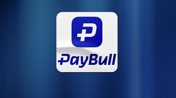 Paybull: Kimin Hâlinde, Nasıl El Konuldu?