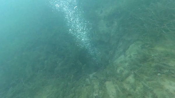 Sapanca Gölü’nün Suları Kaynıyor: Uzmanlar İnceleme Yapıyor
