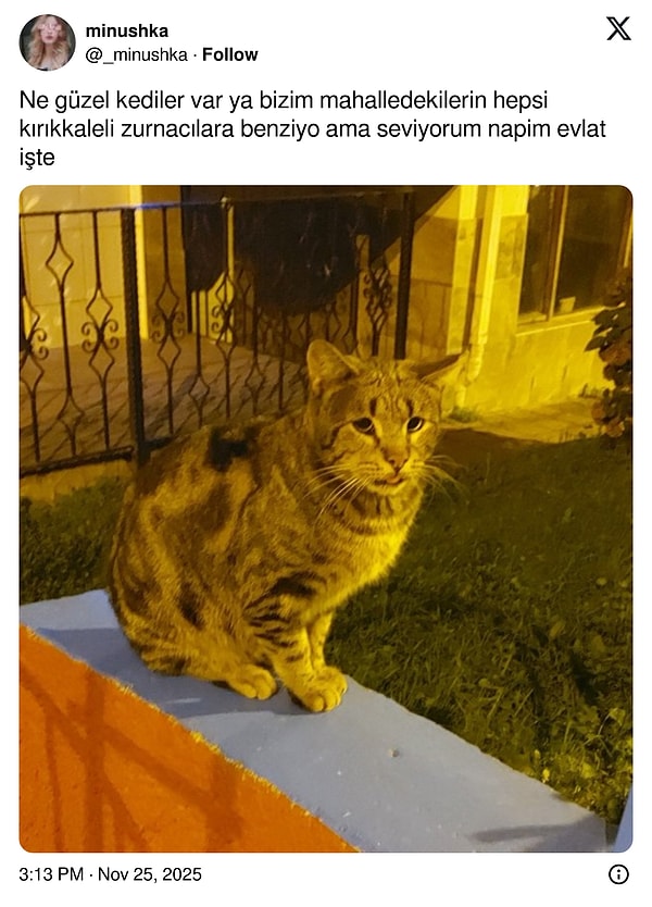 Sarmalı Ayrılık Mesajından İlginç Benzetmelere: Son 24 Saatin Viral Tweetleriyle Şaşkınlıktepe