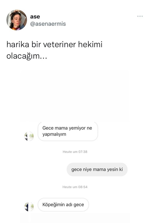 Türkçenin Esnekliğini Mizaha Dönüştüren Çılgın Twitter Yıldızları: Dilin Şakası, Gülüşün Zirvesi!