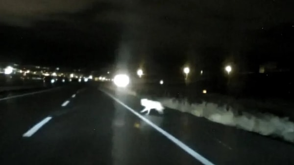 Türkiye’de Kar Yağışı: Yol Ulaşımı Büyük Ölçekli Kapandı