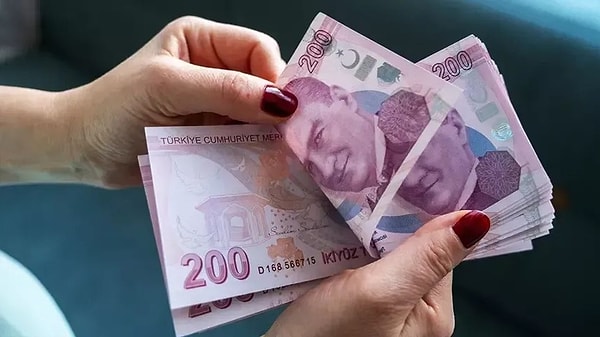 Vatandaşlık Maaşı Nedir ve Kime Verilir?