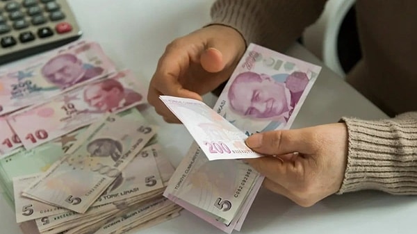 Vatandaşlık Maaşı Nedir ve Kime Verilir?