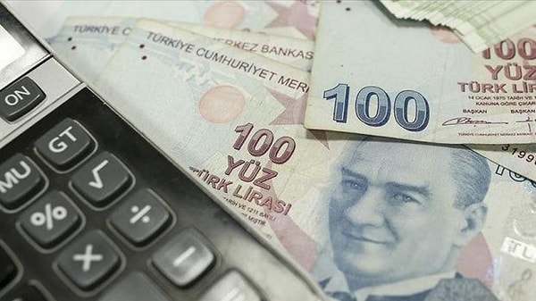 Vatandaşlık Maaşı Nedir ve Kime Verilir?