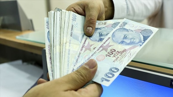 Vatandaşlık Maaşı Nedir ve Kime Verilir?